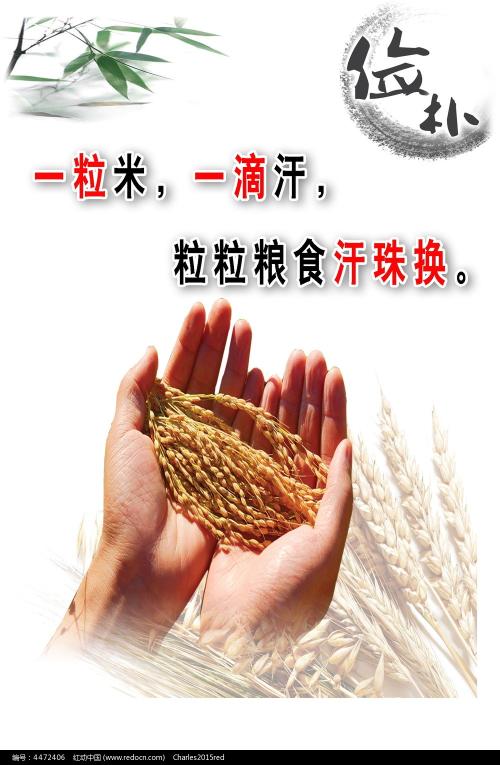 怎么买假的马尔代夫